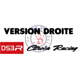 Sticker poignée de porte Citroën Racing DS3 R 2 couleurs (pièce)