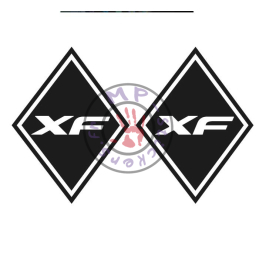 Stickers losange logo DAF modèle XF  (la paire)