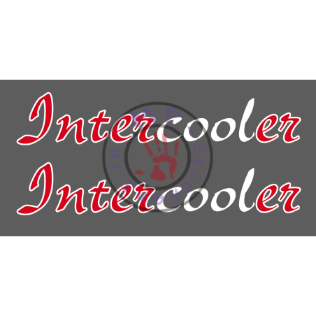 Sticker de vitres  INTERCOOLER 2 couleurs 750x140 mm (la paire)