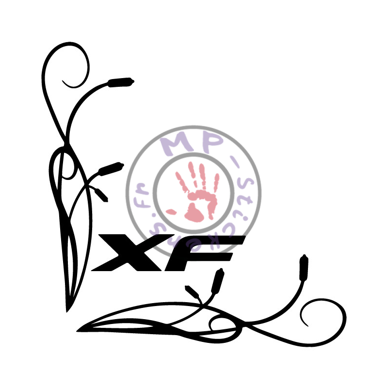 Sticker de vitre roseaux modèle 3 avec DAF XF  (la paire)